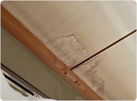 天井のしみや汚れ