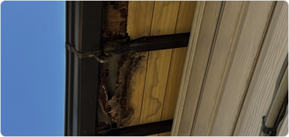 雨漏りや天井のシミ