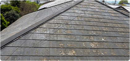 前回塗装から経年