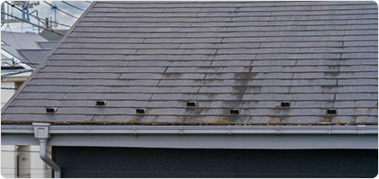 コケ・カビ・汚れの付着